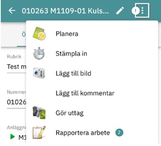 report_swe